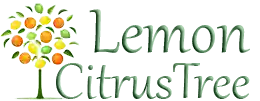  Lemon Citrus Tree Promo Codes